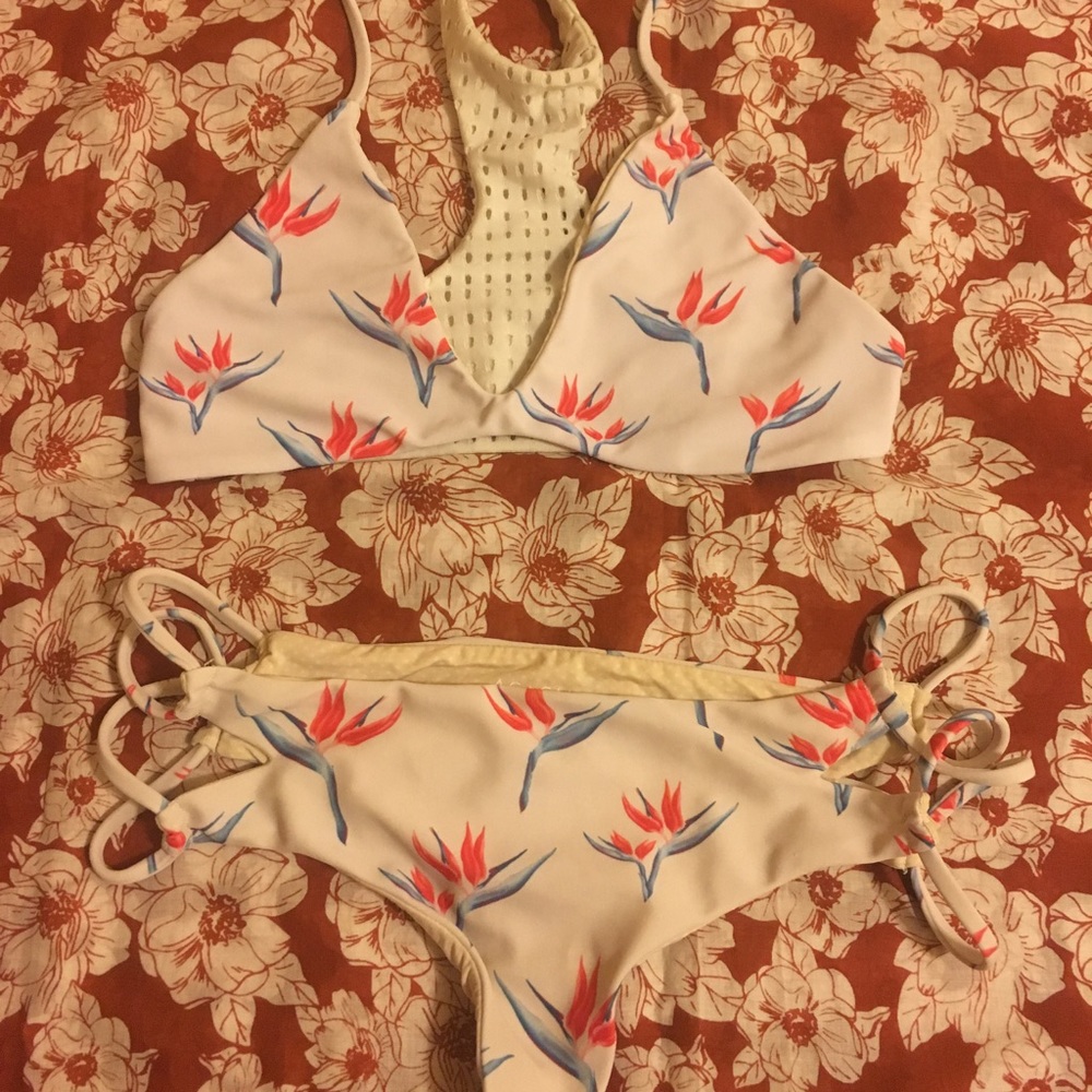 Acacia bird of paradise set